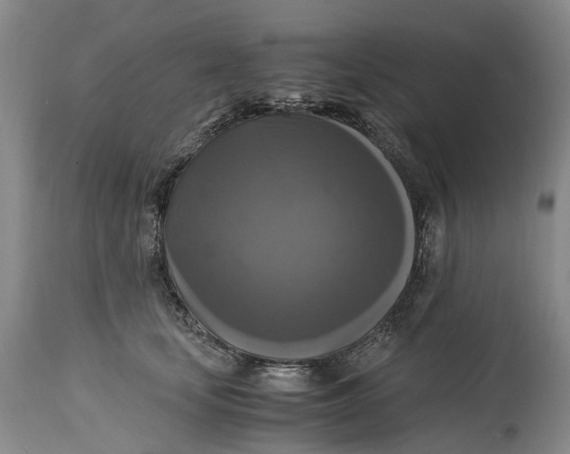 X0000115100659200911171242