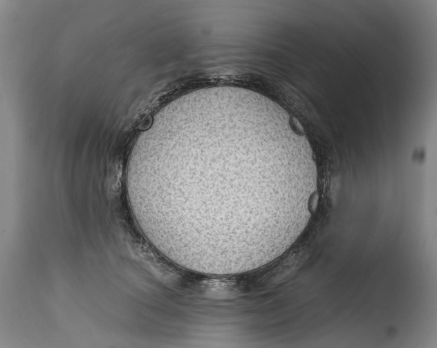 X0000115100660200911171242