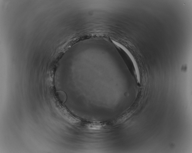 X0000115100661200911171242