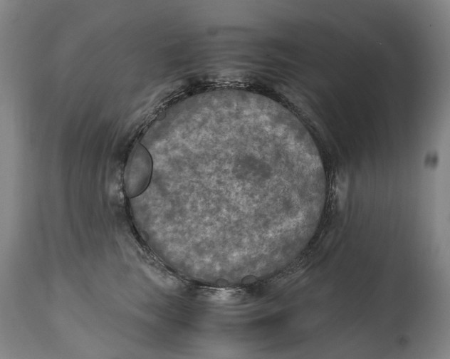 X0000115100663200911171242