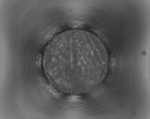 X0000115100664200911171242