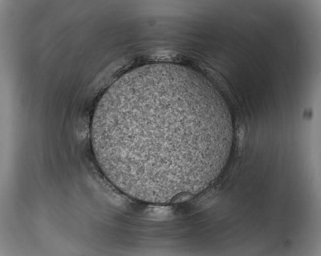 X0000115100665200911171242