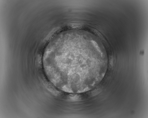 X0000115100667200911171242