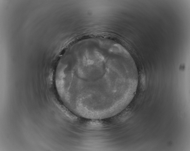 X0000115100668200911171242