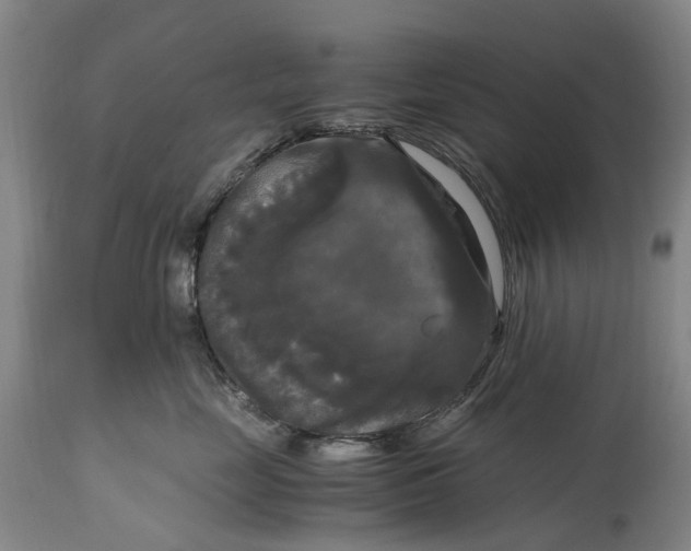 X0000115100669200911171242