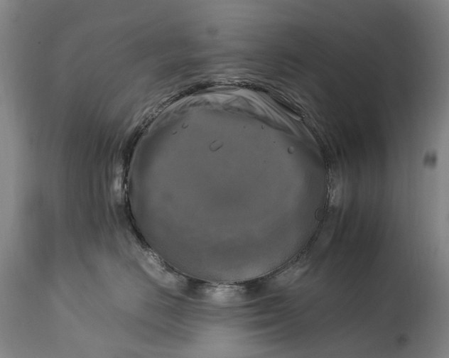 X0000115100670200911171242