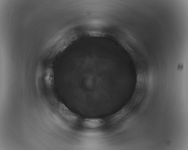 X0000115100671200911171242