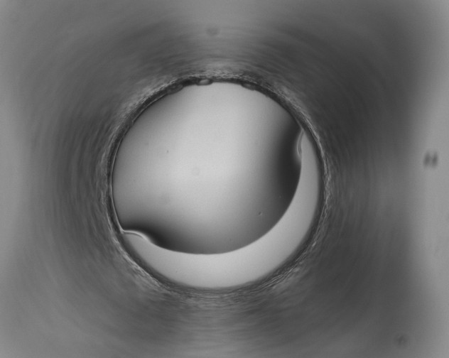 X0000115100673200911171241