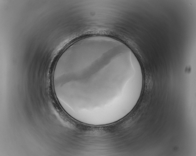 X0000115100674200911171241