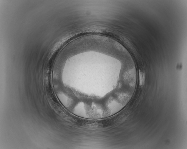 X0000115100675200911171241