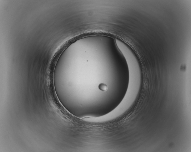 X0000115100676200911171241