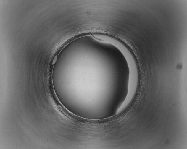 X0000115100677200911171241