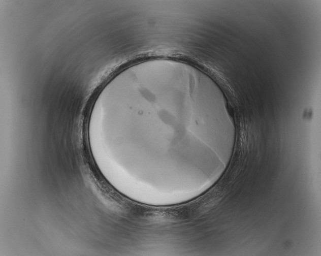 X0000115100678200911171241