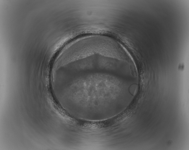 X0000115100679200911171241