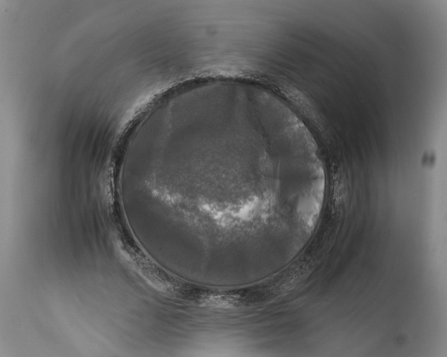 X0000115100680200911171241