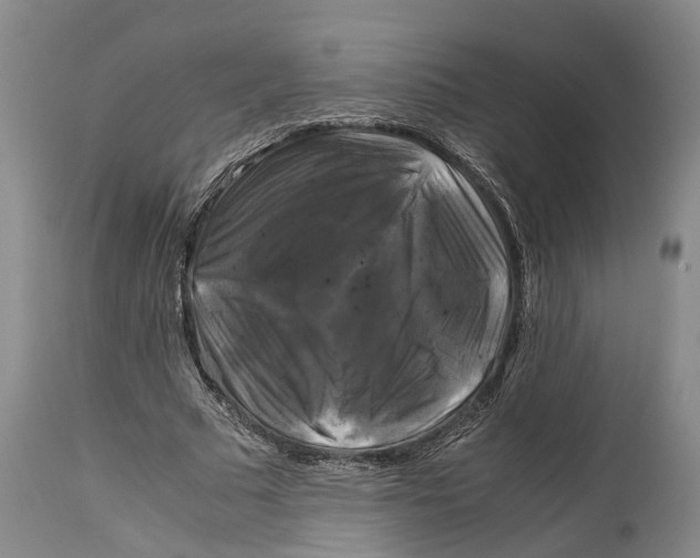 X0000115100681200911171241