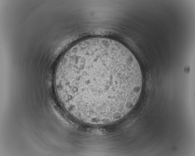 X0000115100683200911171241