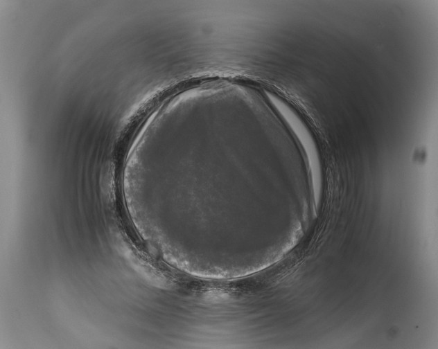 X0000115100684200911171241