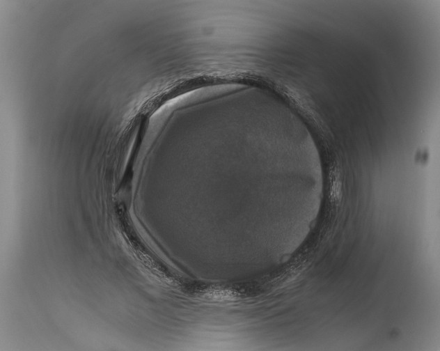 X0000115100685200911171241