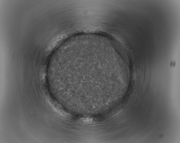 X0000115100687200911171241