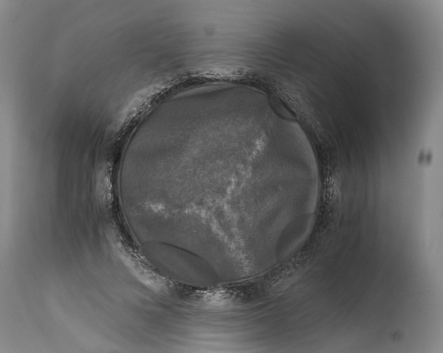 X0000115100688200911171241