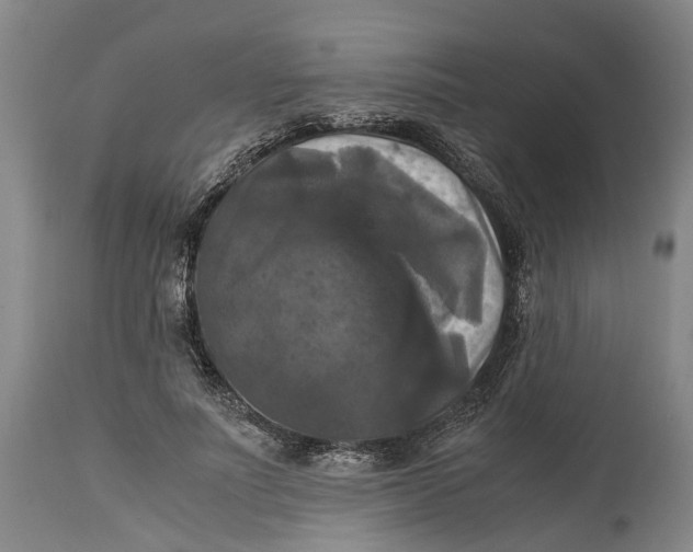 X0000115100691200911171241