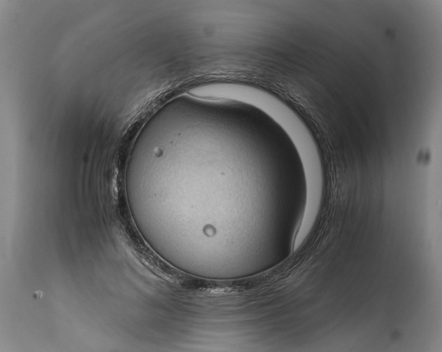 X0000115100692200911171241