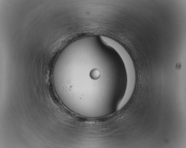 X0000115100693200911171241