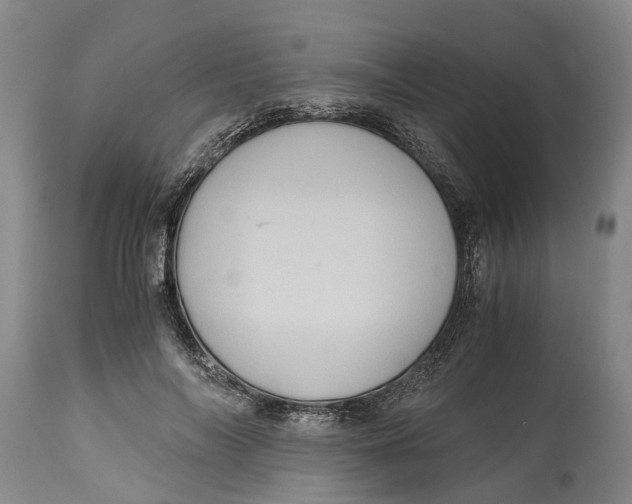 X0000115100694200911171241