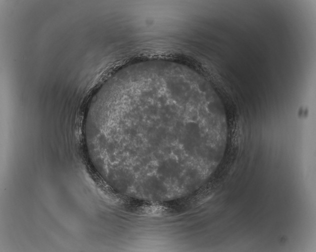 X0000115100695200911171241