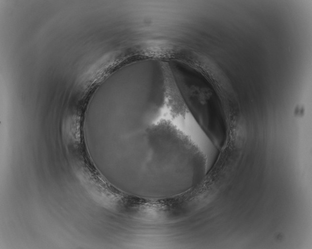 X0000115100696200911171241