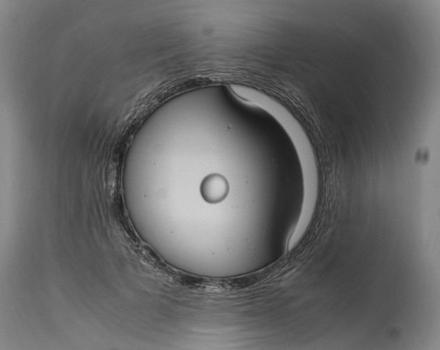 X0000115100697200911171241