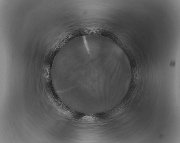 X0000115100699200911171241