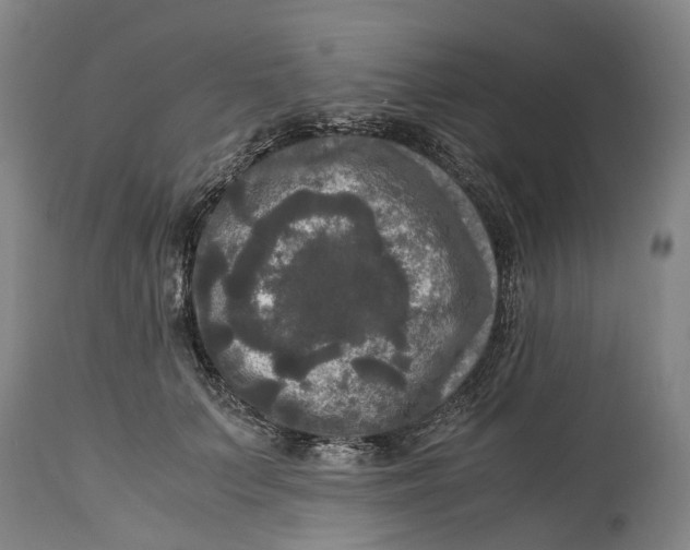 X0000115100703200911171241