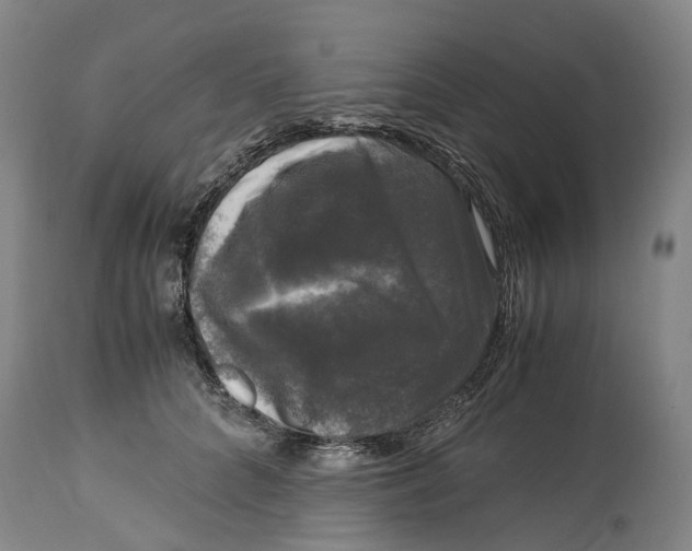 X0000115100704200911171241