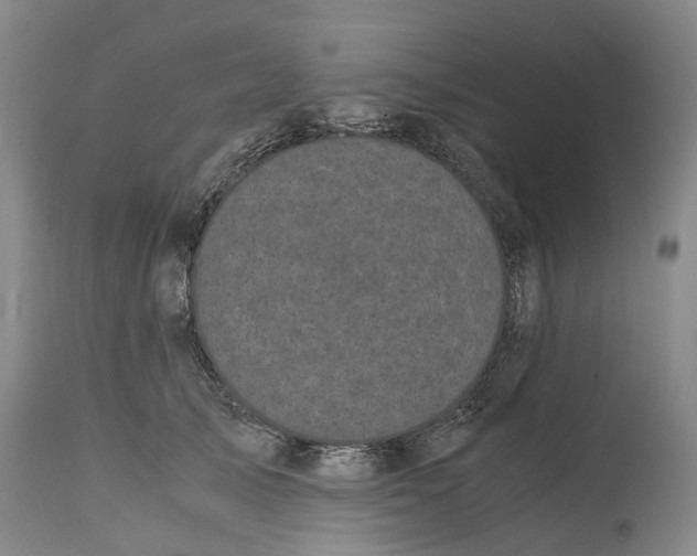 X0000115100705200911171241