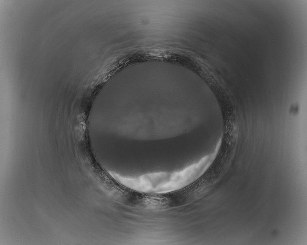 X0000115100707200911171241