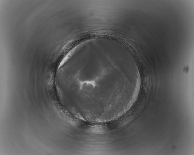 X0000115100708200911171241