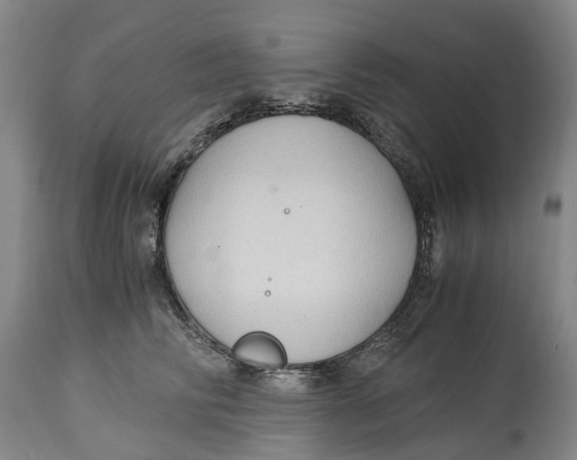 X0000115100710200911171241