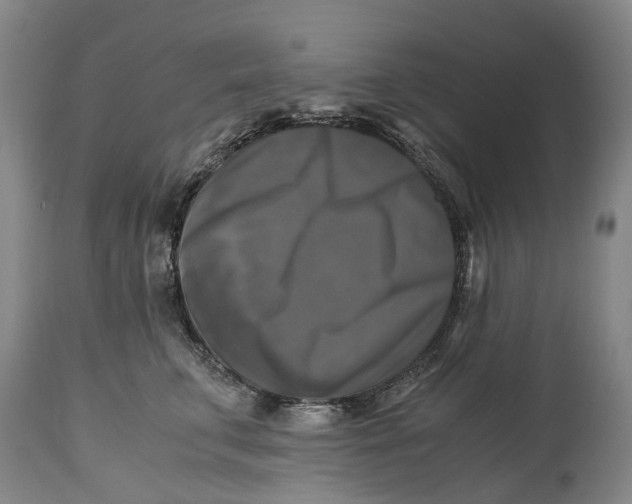 X0000115100711200911171241