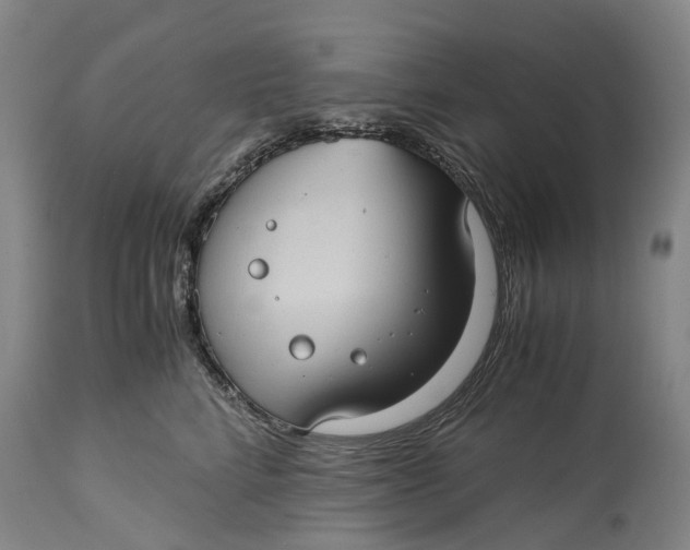 X0000115100712200911171241