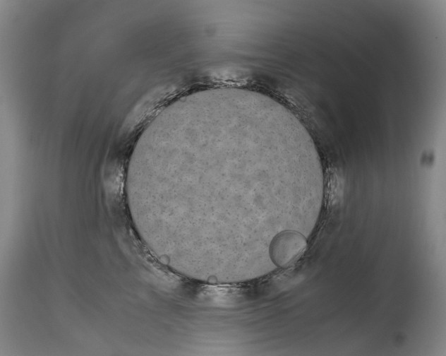 X0000115100713200911171241