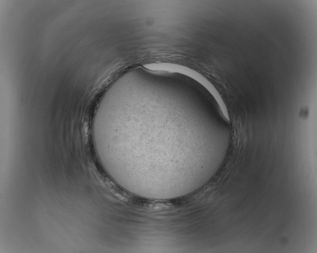 X0000115100716200911171240