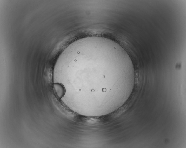 X0000115100718200911171240