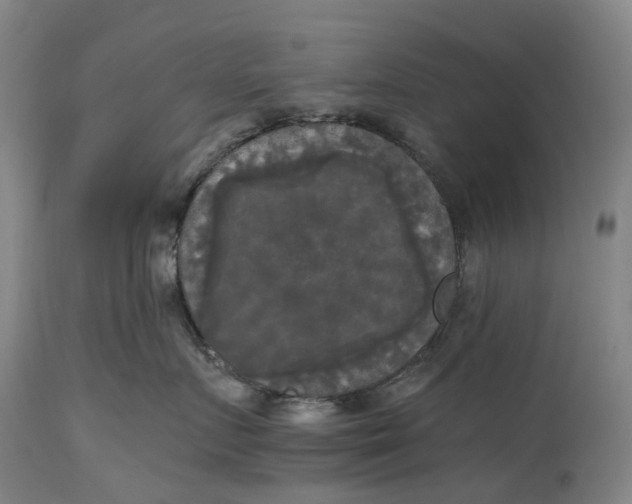 X0000115100719200911171240