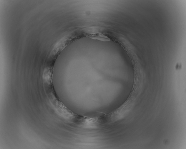 X0000115100720200911171240