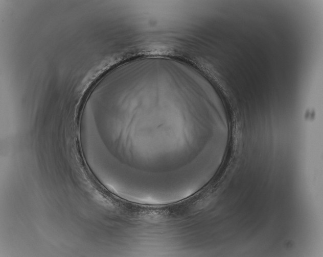 X0000115100721200911171239