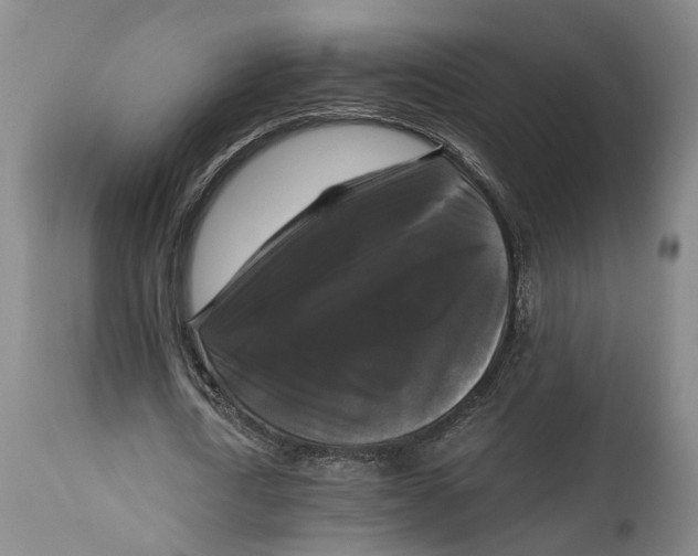 X0000115100722200911171239