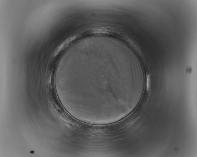 X0000115100723200911171239