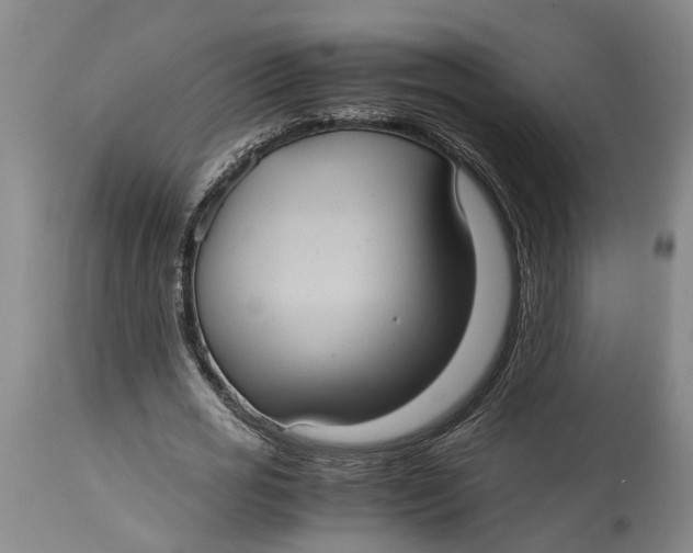 X0000115100725200911171239